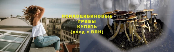 прущая мука Дмитров