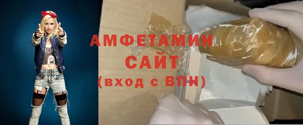 ПСИЛОЦИБИНОВЫЕ ГРИБЫ Дмитриев