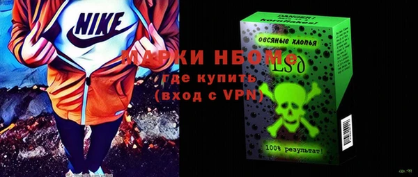 ПСИЛОЦИБИНОВЫЕ ГРИБЫ Дмитриев