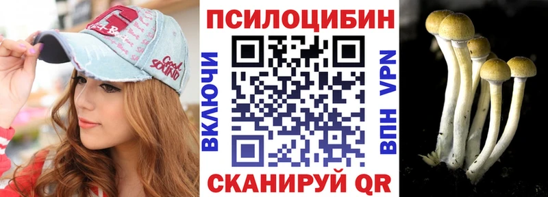 Галлюциногенные грибы Psilocybe  Купить  Нижний Новгород 